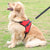 Adjustable Dog Harness