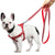 Small Dog Harness and Leash