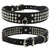 Rhinestone Dog Collar