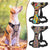 Absque Quick Control Dog Harness