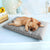 Cushion Mattress Dog Bed