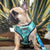 Cute Colorful Dog Harness