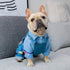 Cotton Dog Shirt with Coat