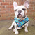 Cute Colorful Dog Harness